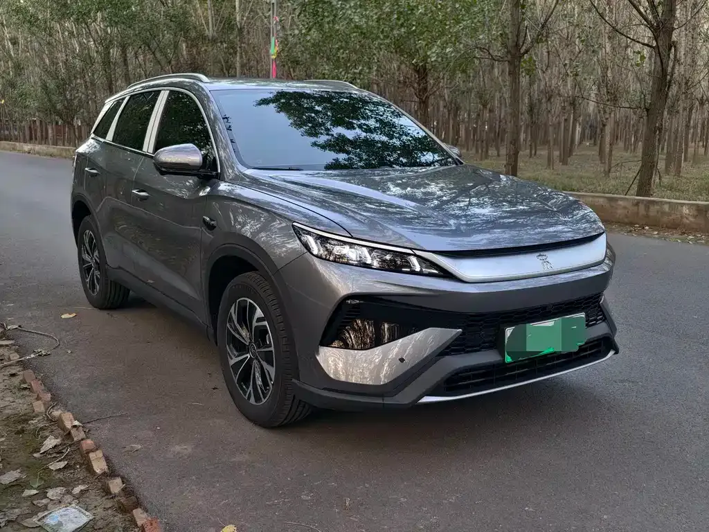 BYD Pro New Energy 2025 из CN, фото 3