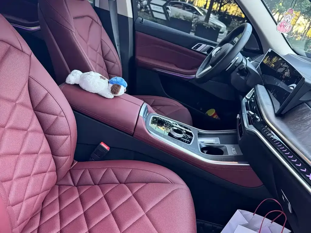 BMW X5 2025 из CN, фото 4