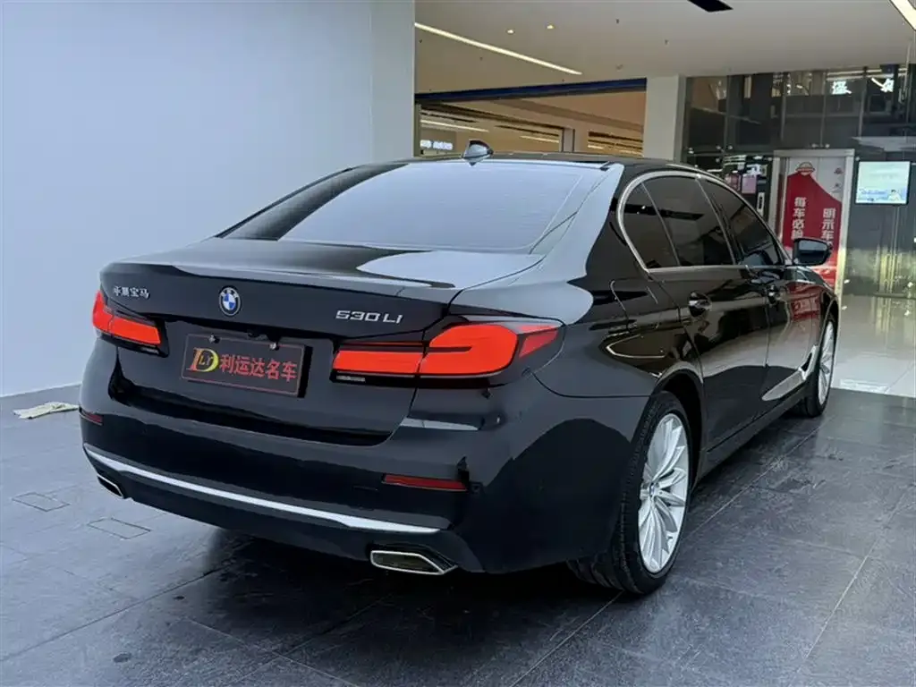 BMW 5 Series 2021 из CN, фото 10