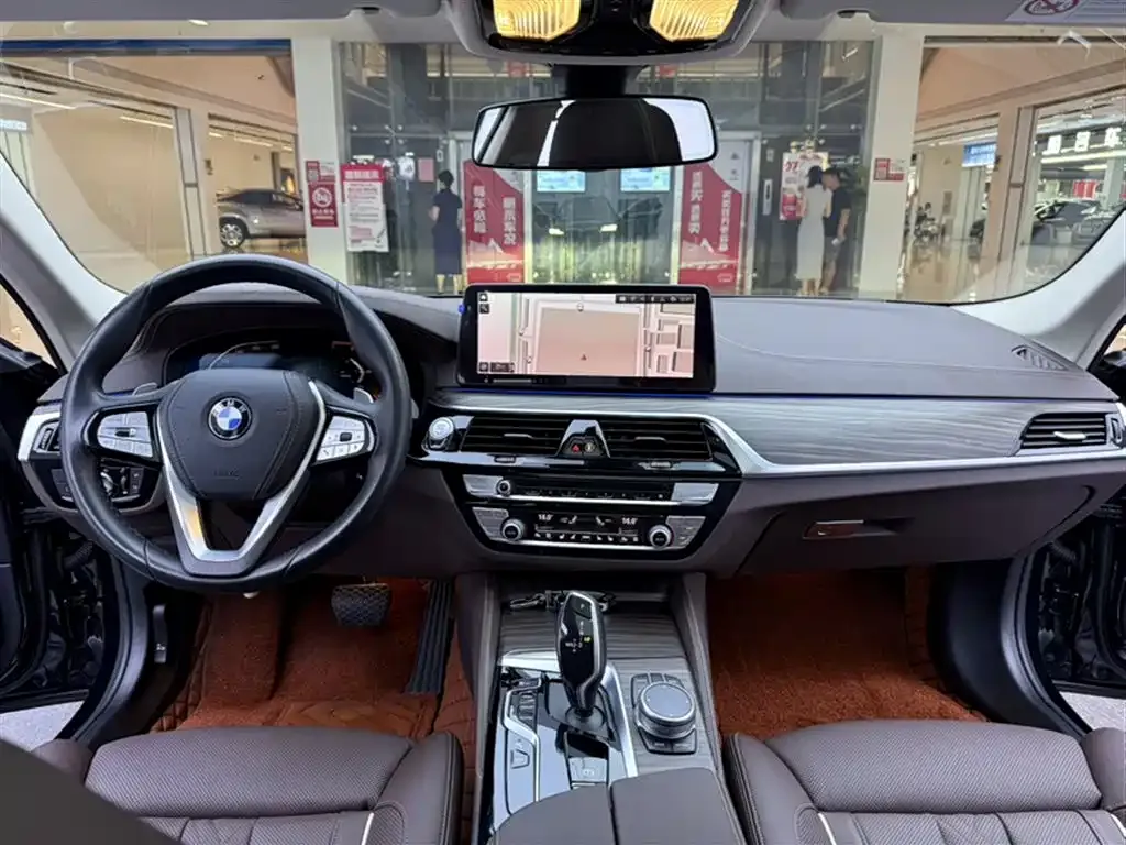BMW 5 Series 2021 из CN, фото 4