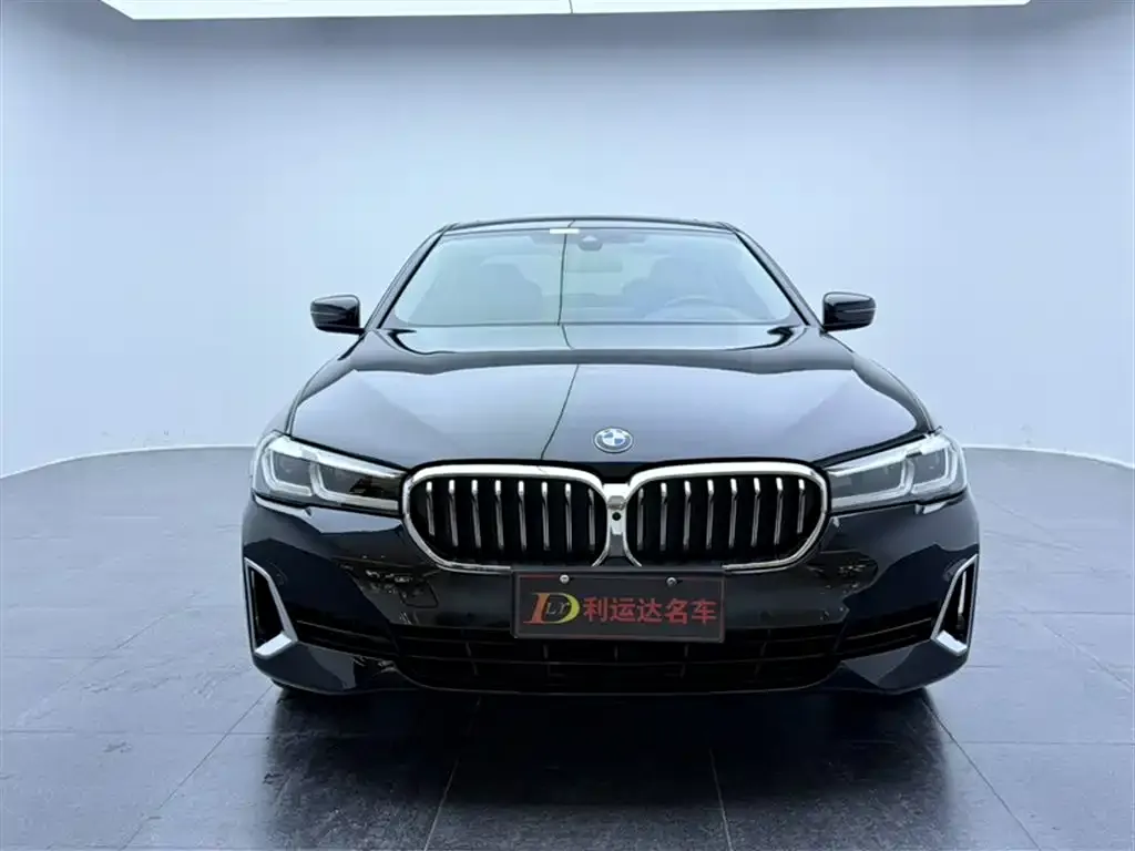 BMW 5 Series 2021 из CN, фото 6