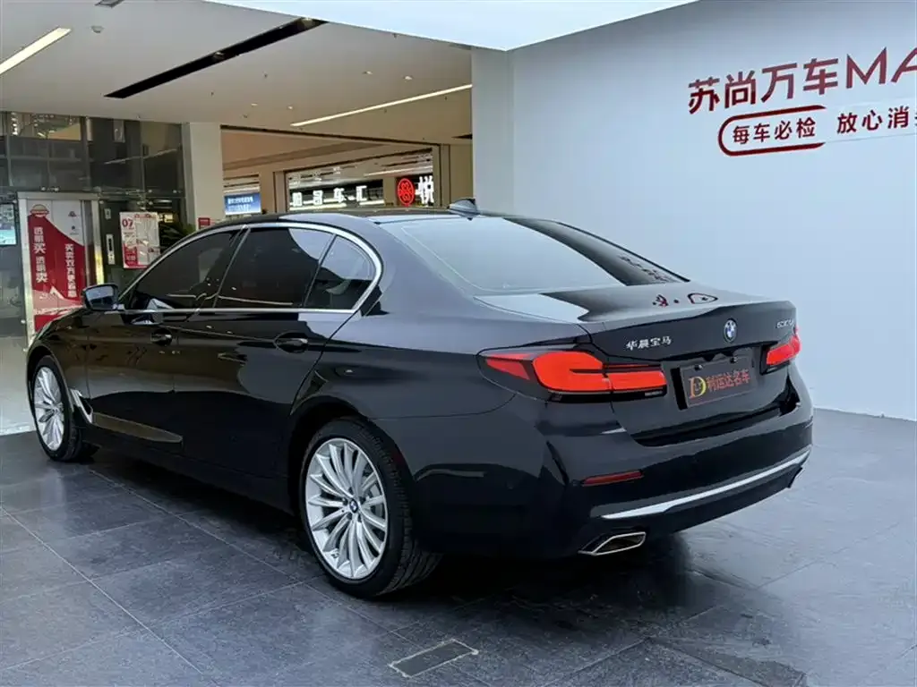 BMW 5 Series 2021 из CN, фото 7
