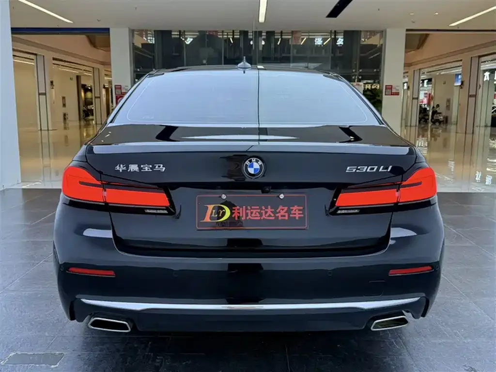 BMW 5 Series 2021 из CN, фото 9