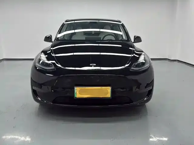 Tesla Model Y 2023 из CN, фото 1