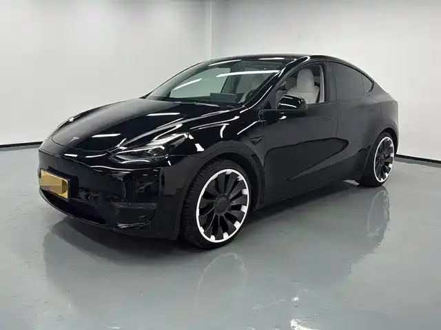 Tesla Model Y 2023 из CN, фото 2