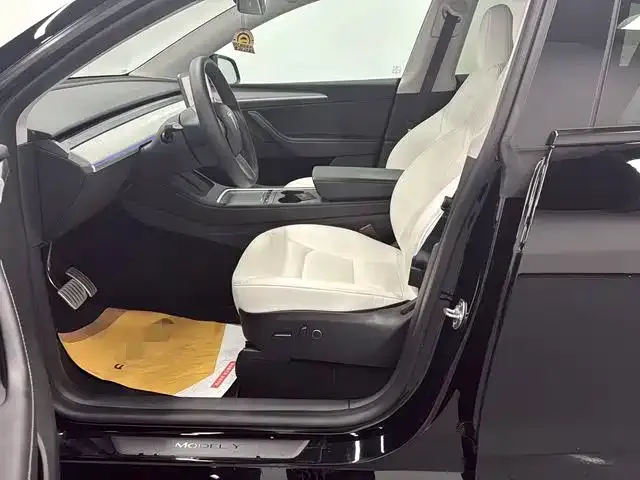Tesla Model Y 2023 из CN, фото 5