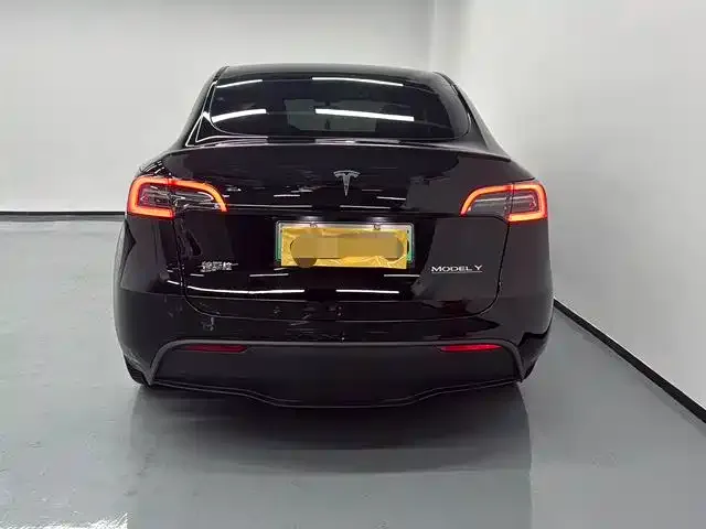 Tesla Model Y 2023 из CN, фото 8