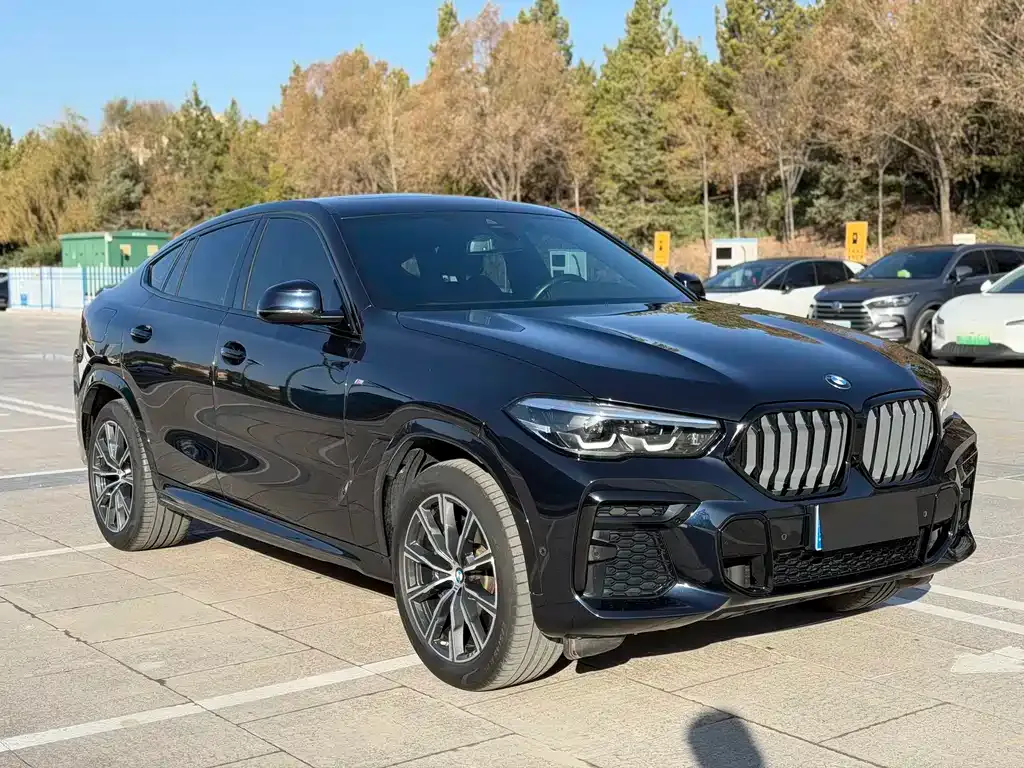 BMW X6 — фото 5
