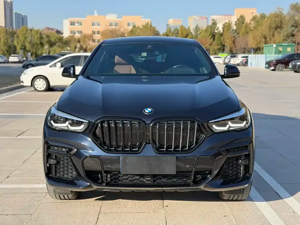 BMW X6 — фото 9