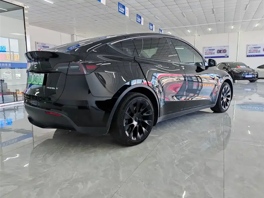 Tesla Model Y — фото 10