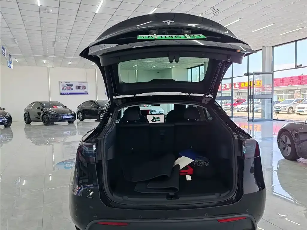 Tesla Model Y — фото 6