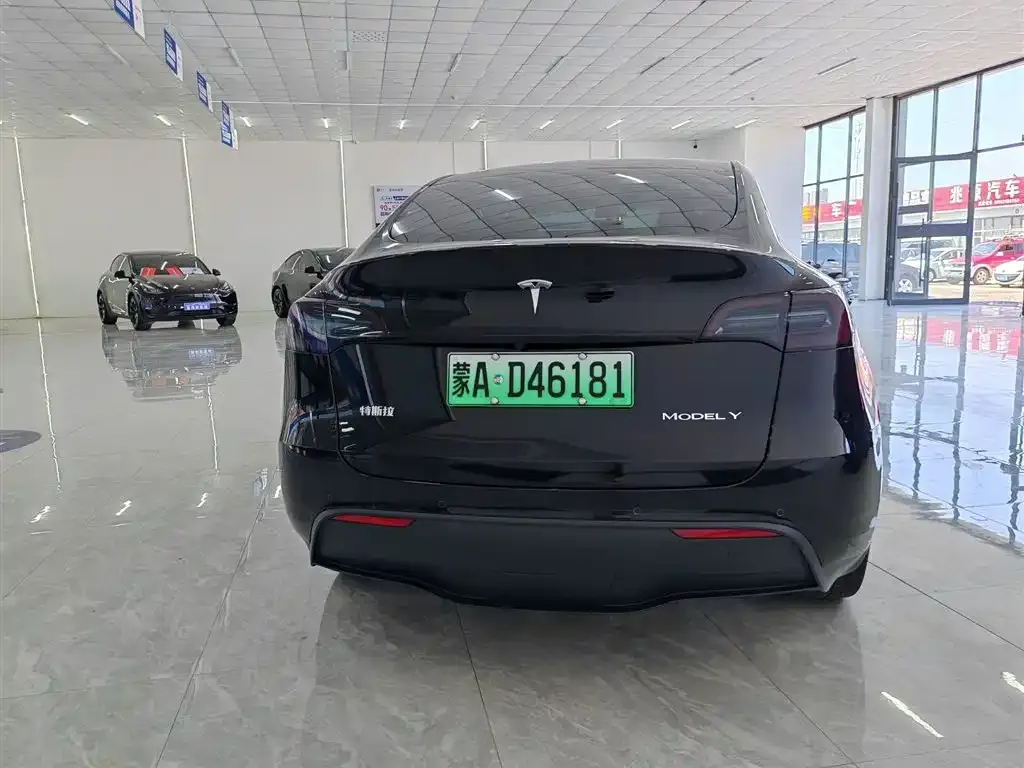 Tesla Model Y — фото 9