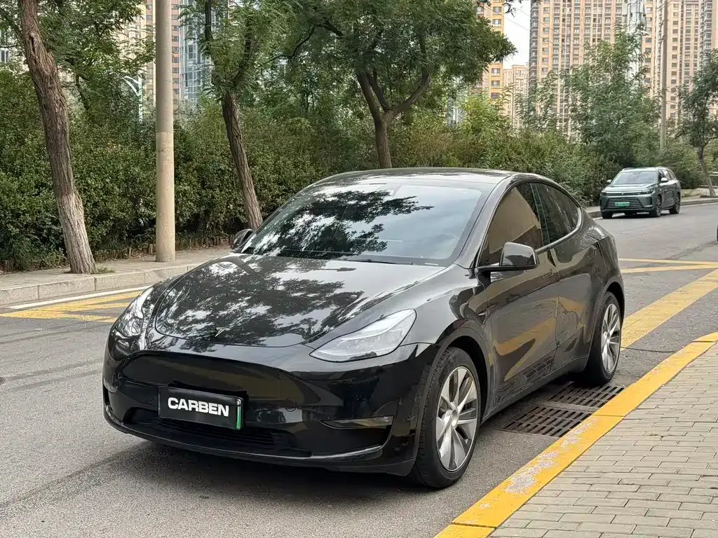 Tesla Model Y 2022 из CN, фото 1