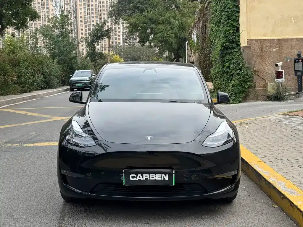 Tesla Model Y 2022 из CN, фото 2