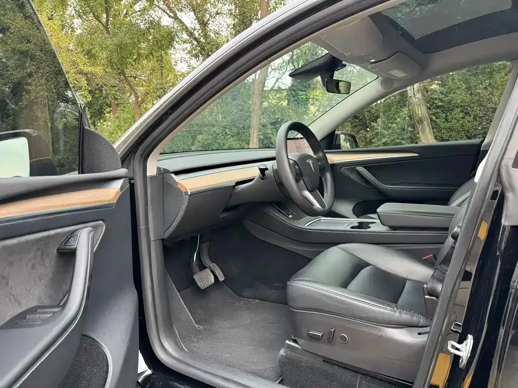 Tesla Model Y 2022 из CN, фото 4