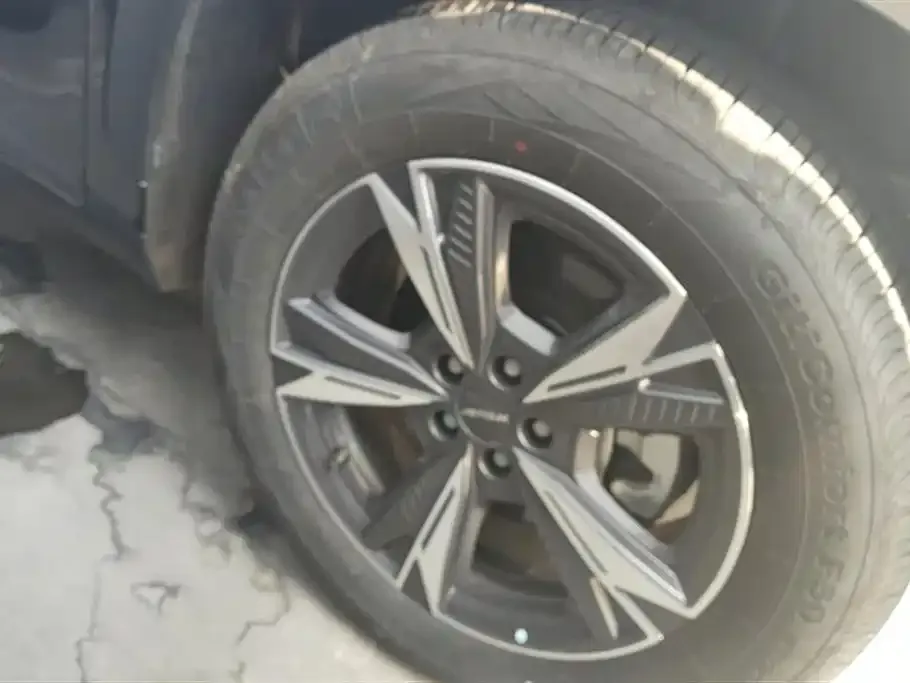 Jetour Dasheng 2024 из CN, фото 6