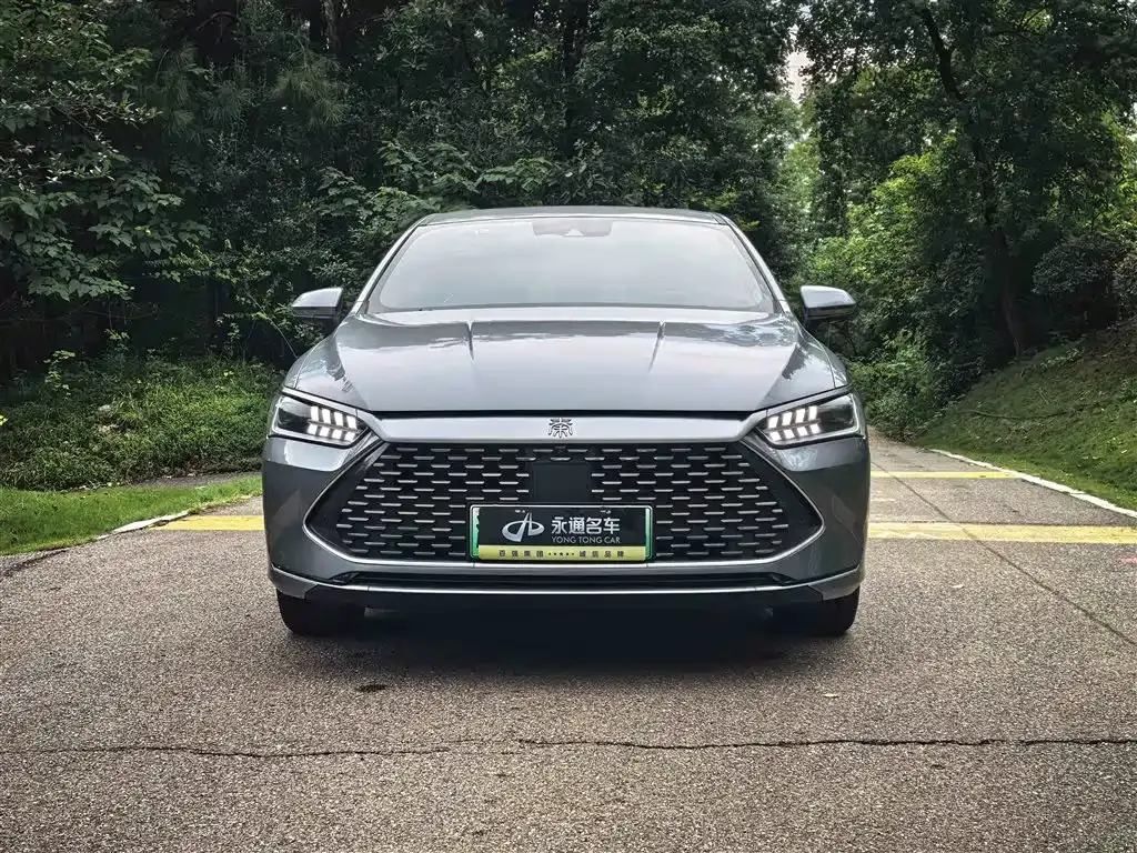 BYD Qin PLUS — фото 2