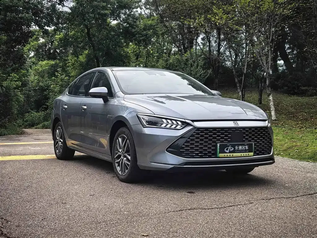 BYD Qin PLUS — фото 3