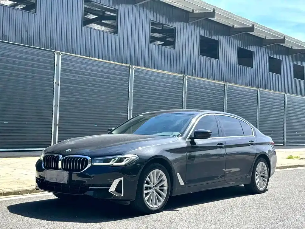 BMW 5 Series 2022 из CN, фото 2