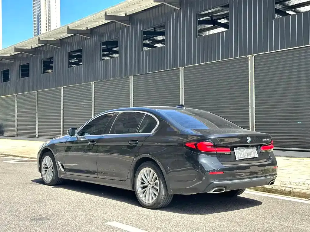 BMW 5 Series 2022 из CN, фото 8