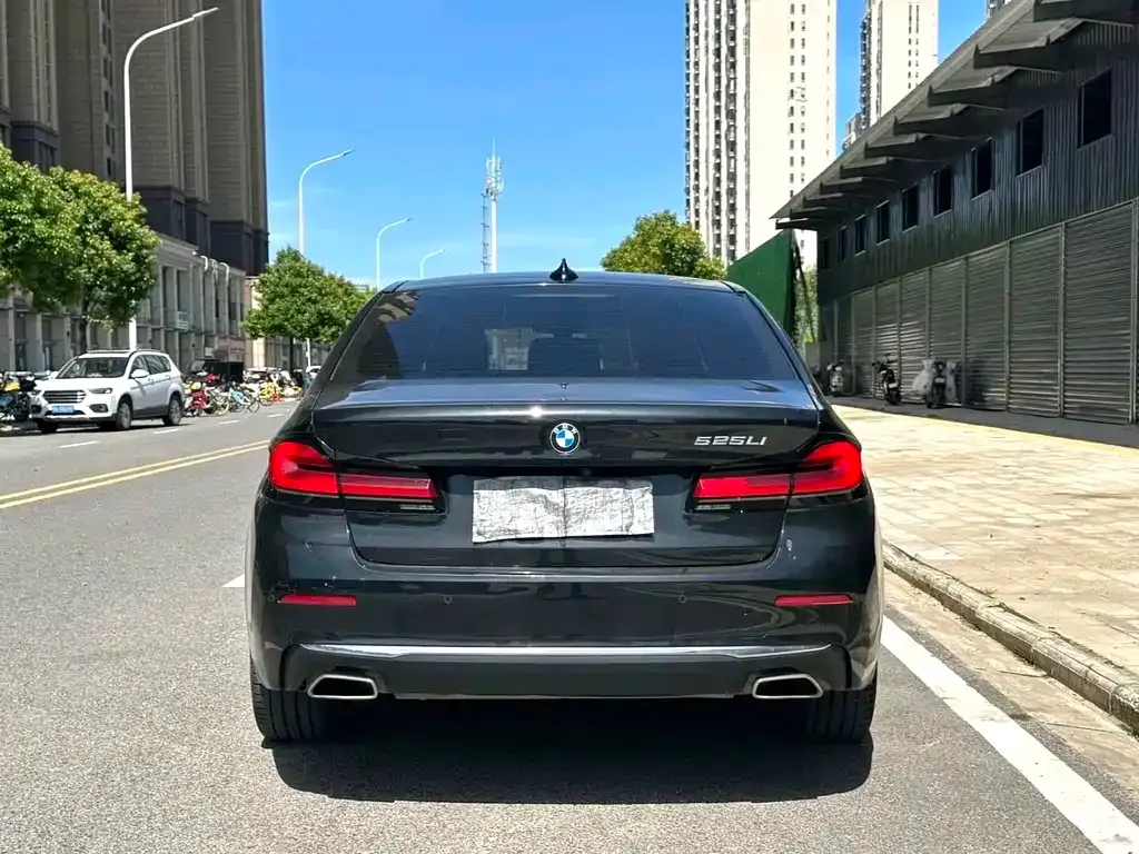 BMW 5 Series 2022 из CN, фото 9