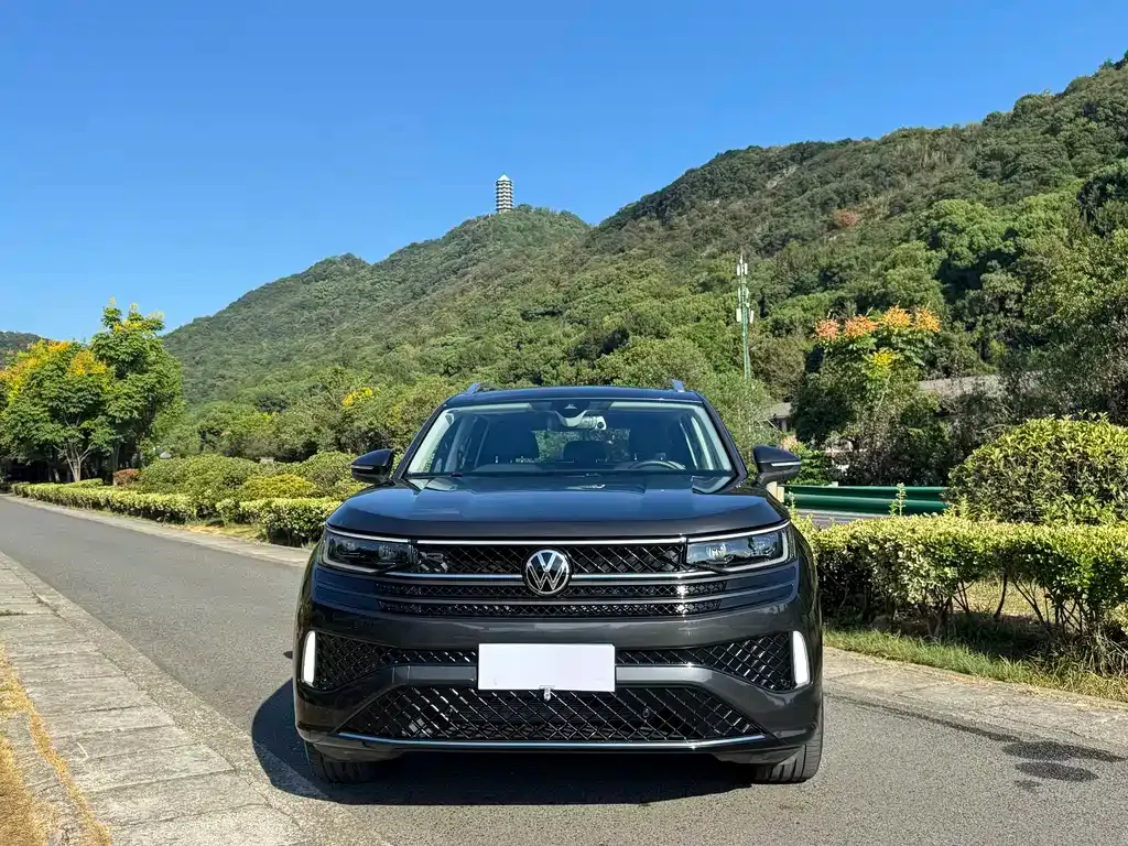 Volkswagen Tavendor 2023 из CN, фото 2
