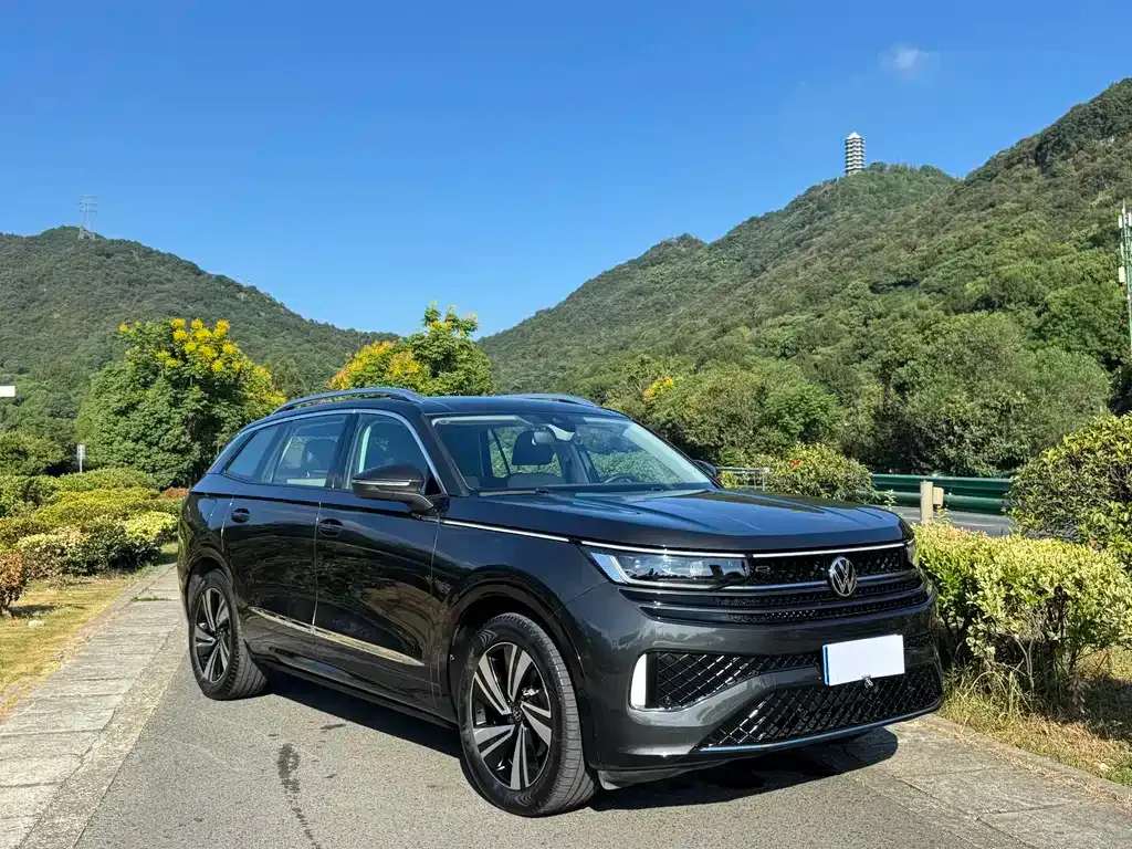 Volkswagen Tavendor 2023 из CN, фото 3