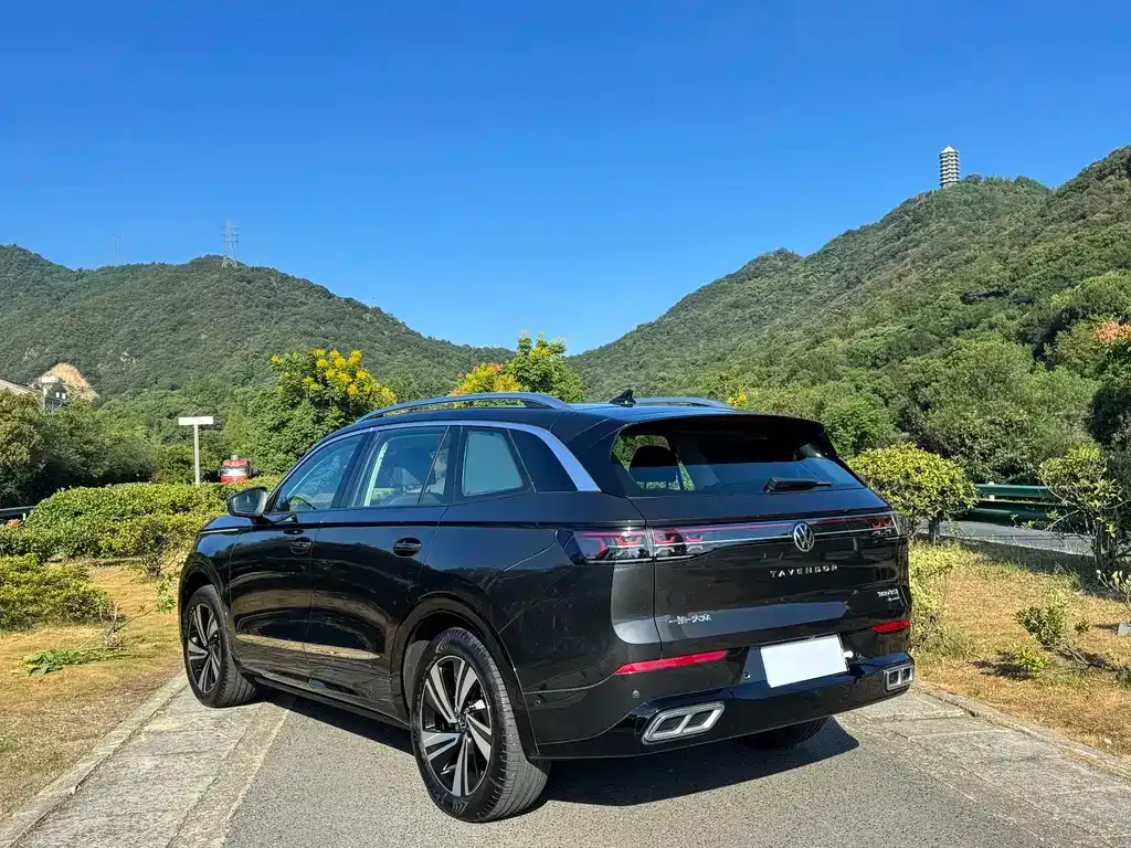 Volkswagen Tavendor 2023 из CN, фото 4