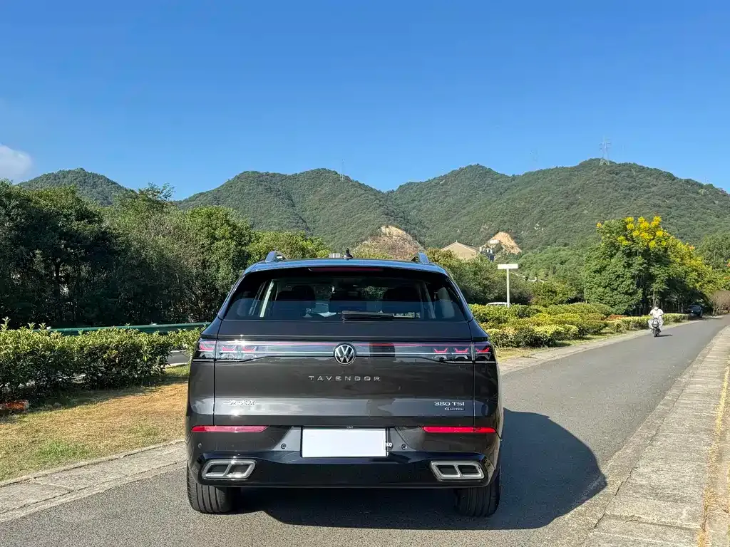 Volkswagen Tavendor 2023 из CN, фото 5