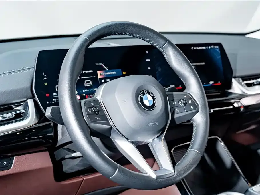 BMW X2 (Import) 2024 из CN, фото 10