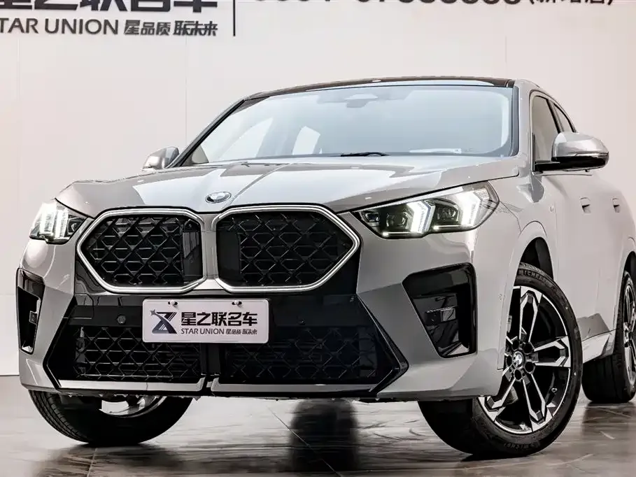 BMW X2 (Import) 2024 из CN, фото 2