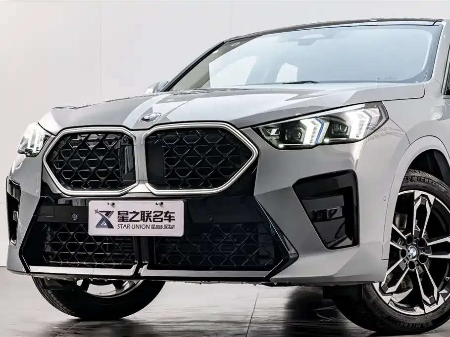 BMW X2 (Import) 2024 из CN, фото 3