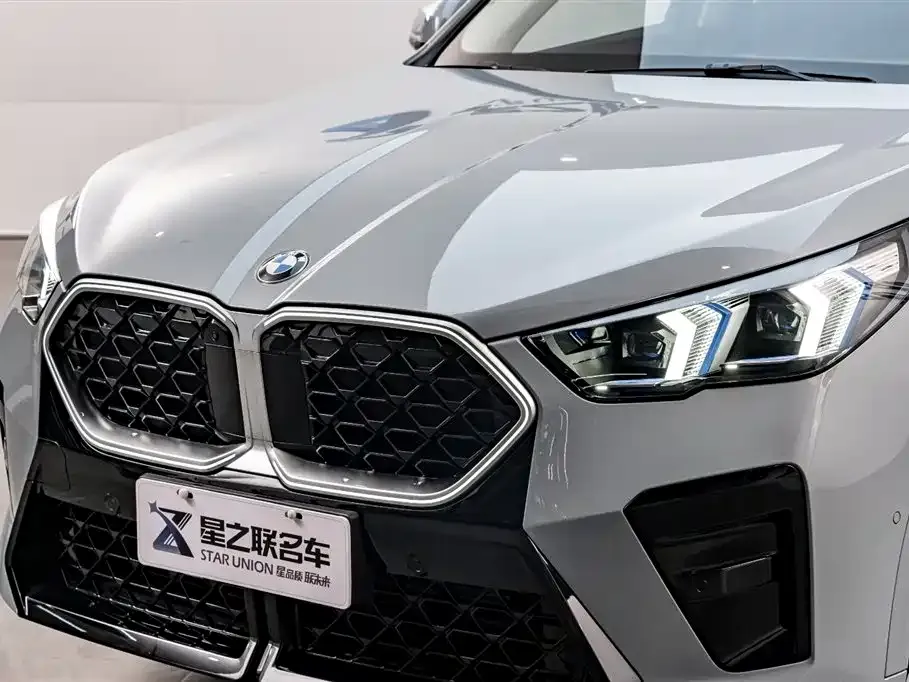 BMW X2 (Import) 2024 из CN, фото 4