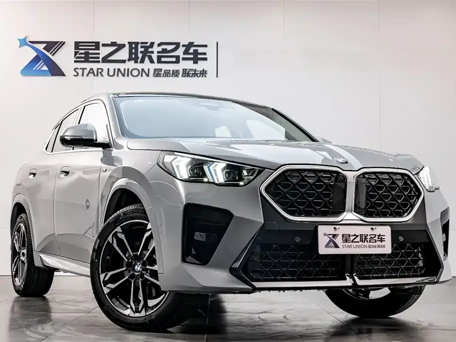 BMW X2 (Import) 2024 из CN, фото 5