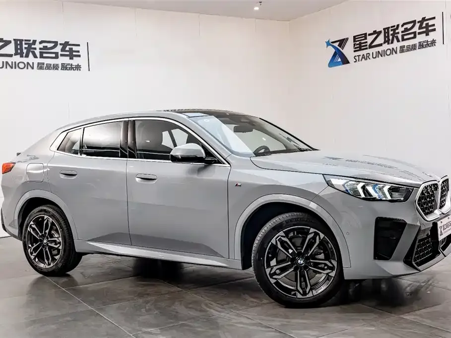 BMW X2 (Import) 2024 из CN, фото 6