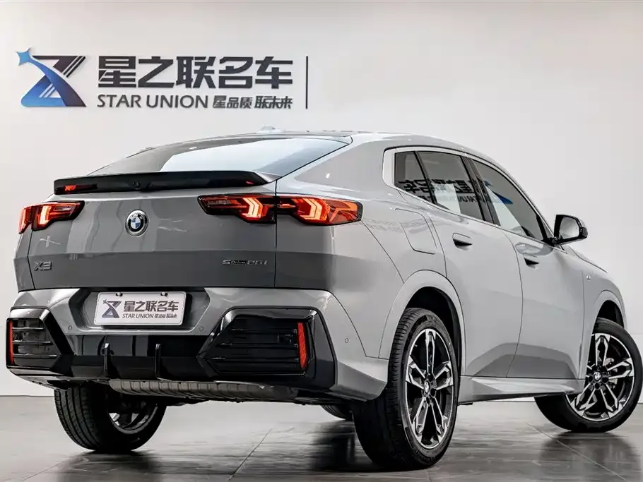BMW X2 (Import) 2024 из CN, фото 7