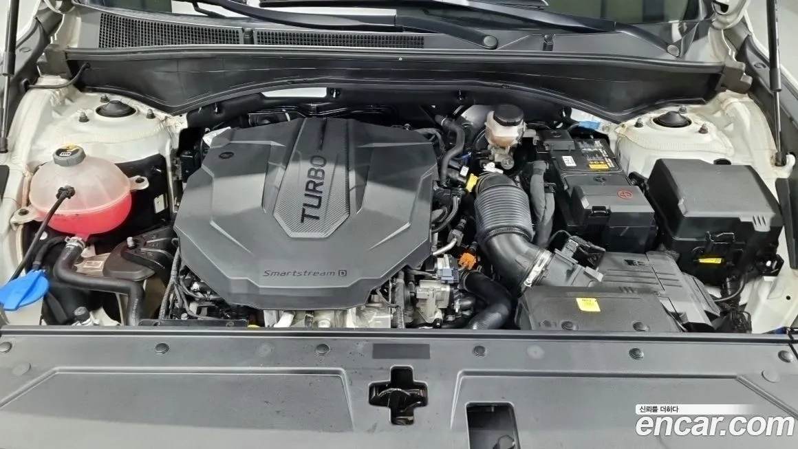 [object Object] Santafe 2023 из KR, фото 6