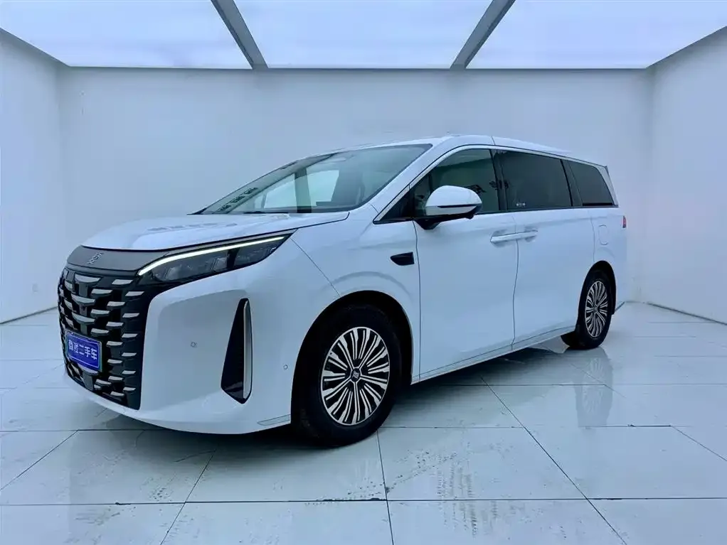 BYD Xia 2025 из CN, фото 1