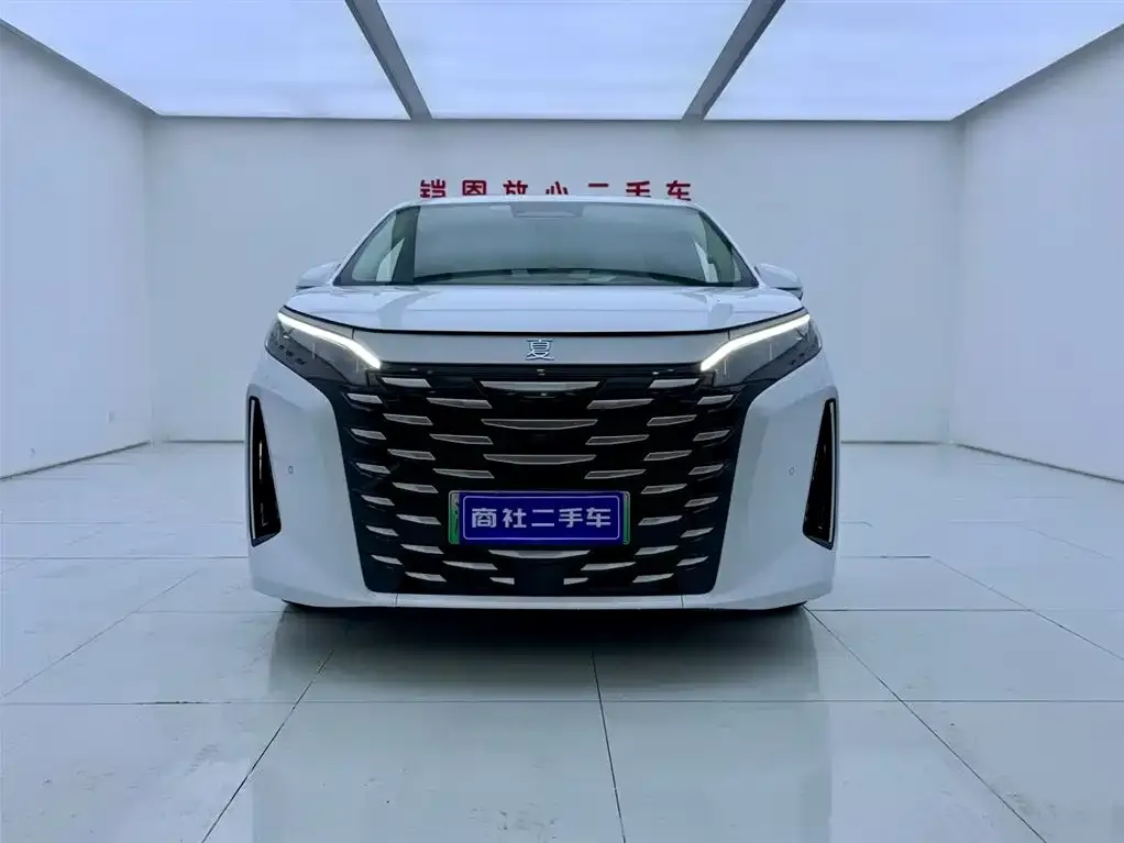 BYD Xia 2025 из CN, фото 2