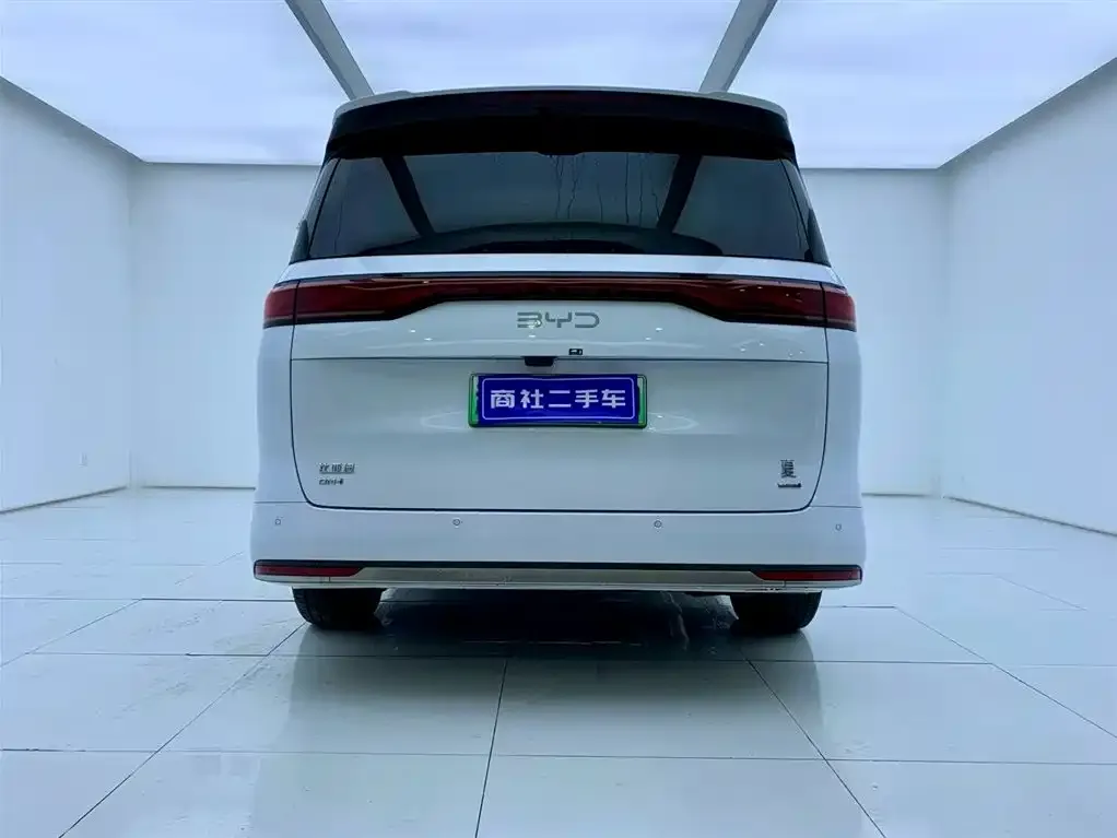 BYD Xia 2025 из CN, фото 4