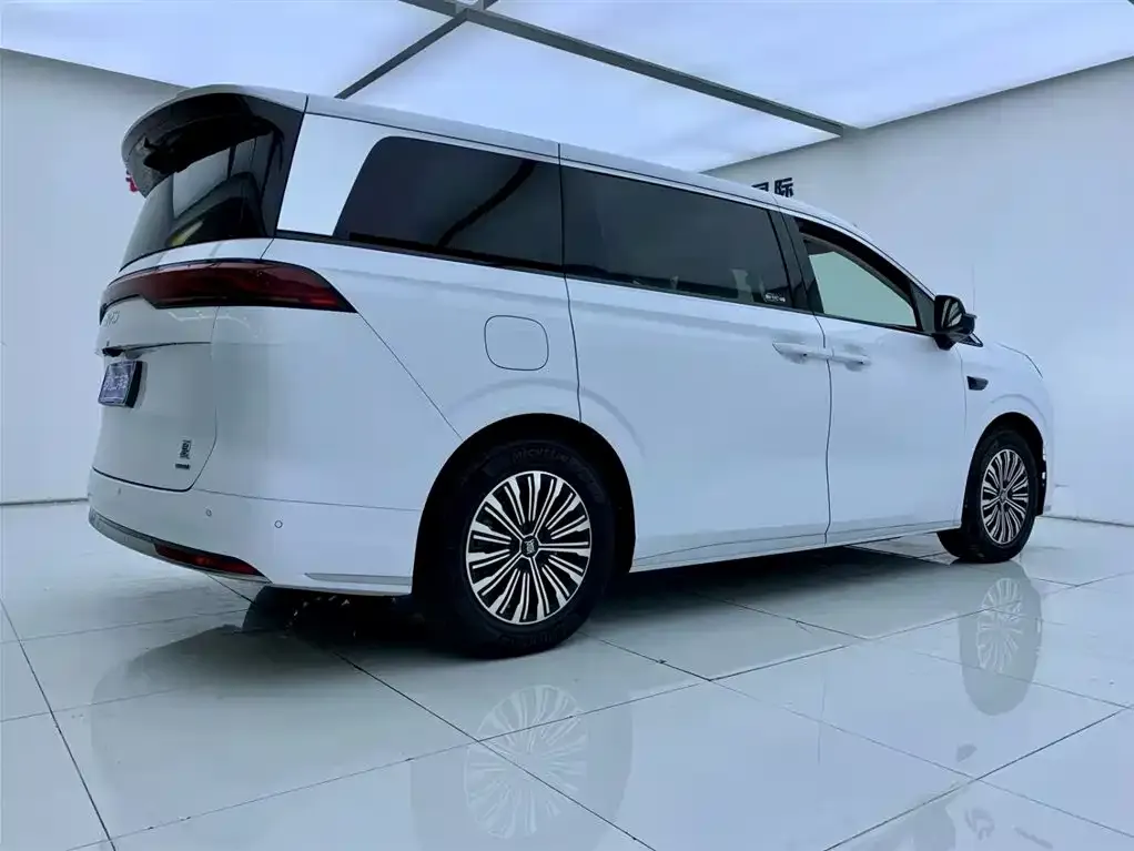 BYD Xia 2025 из CN, фото 5