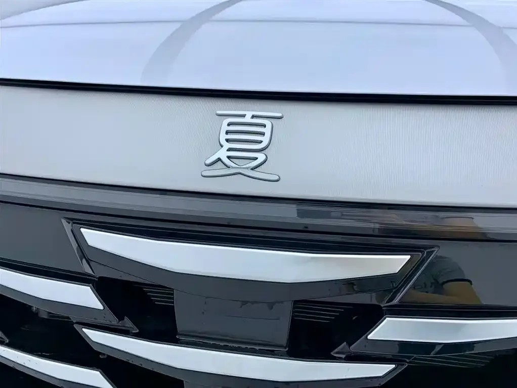 BYD Xia 2025 из CN, фото 7