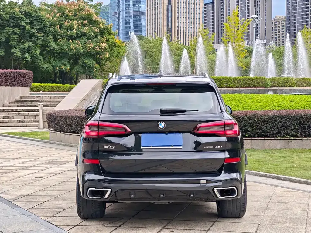 BMW X5 (Import) 2022 из CN, фото 9