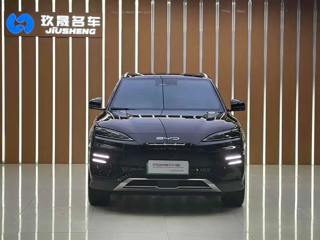BYD PLUS New Energy — фото 2