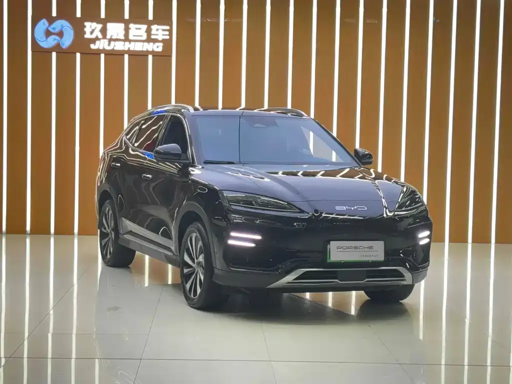 BYD PLUS New Energy — фото 3