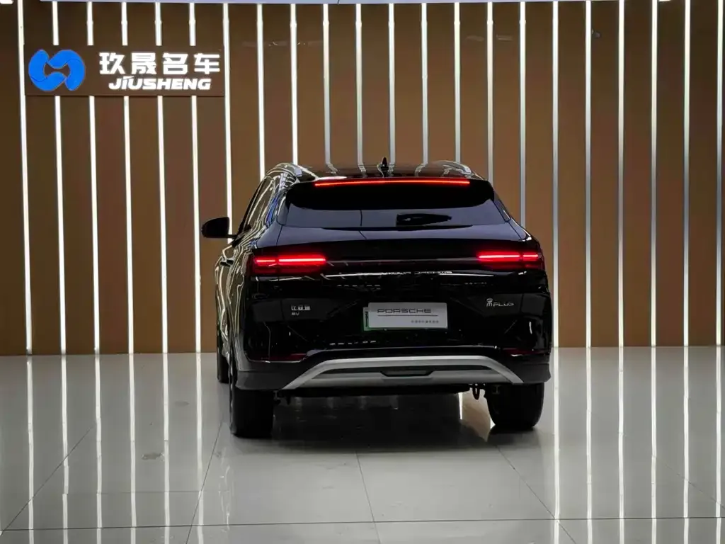 BYD PLUS New Energy — фото 4