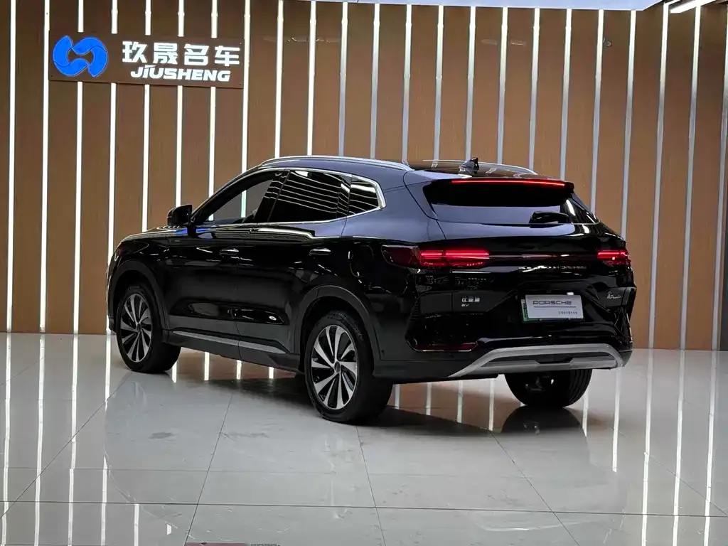 BYD PLUS New Energy — фото 5