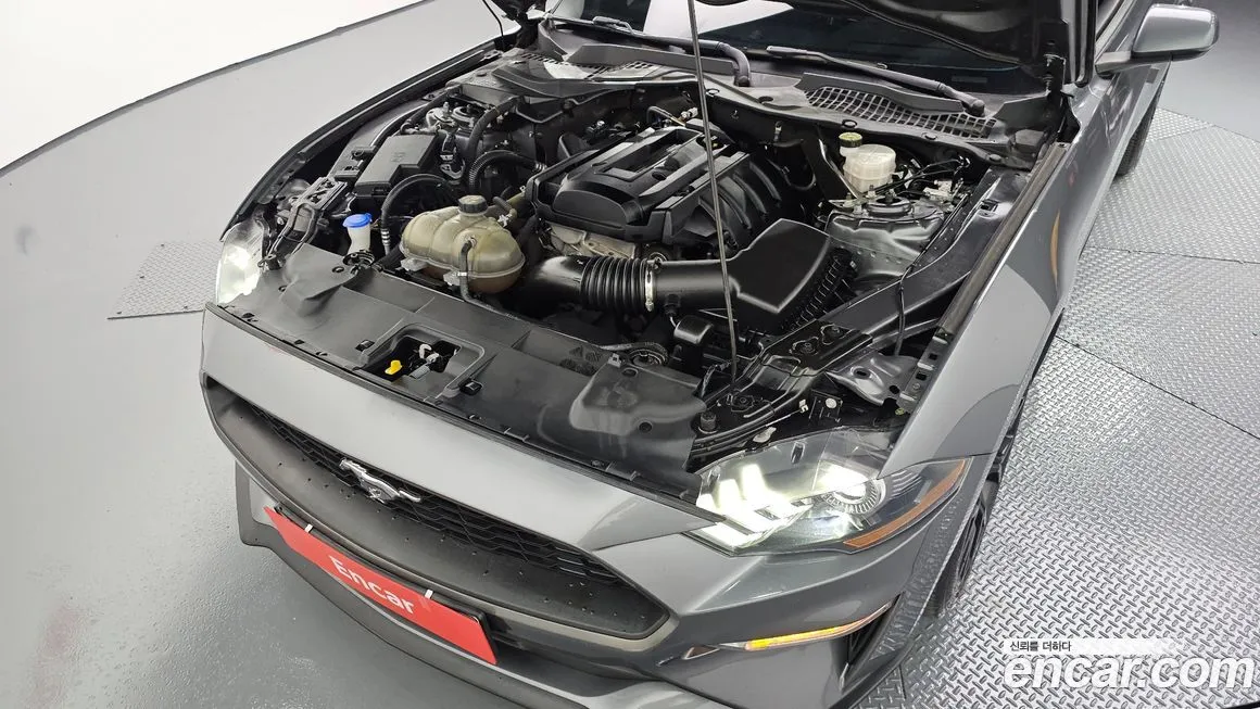 Ford Mustang 2021 из KR, фото 6