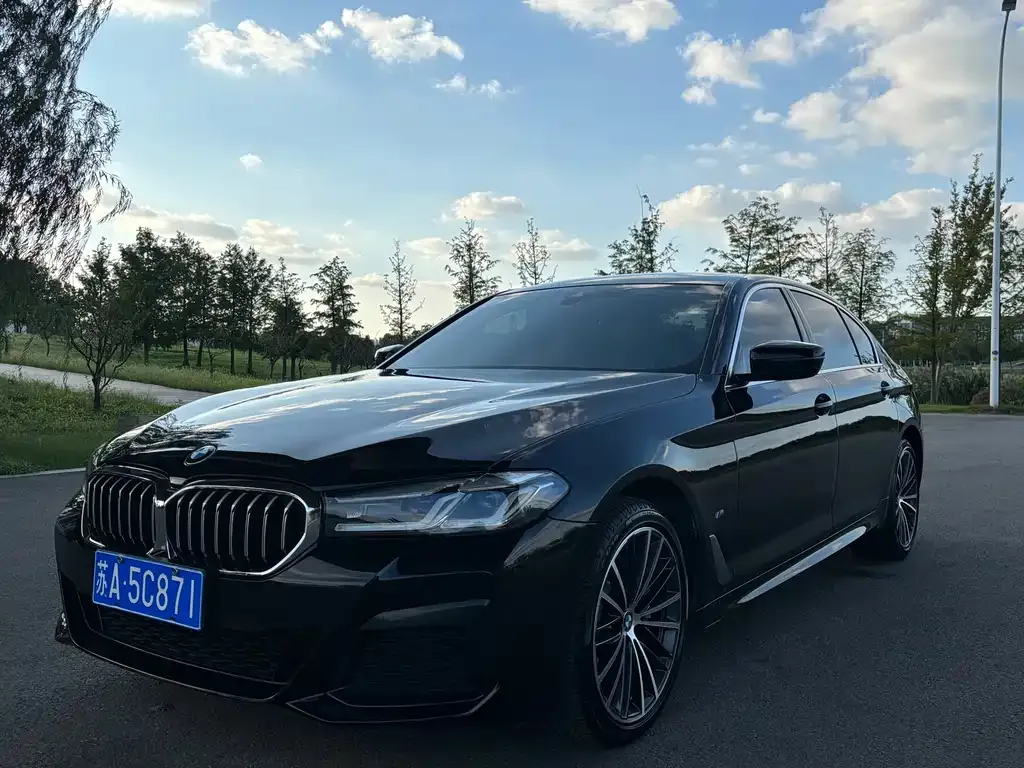 BMW 5 Series 2022 из CN, фото 1