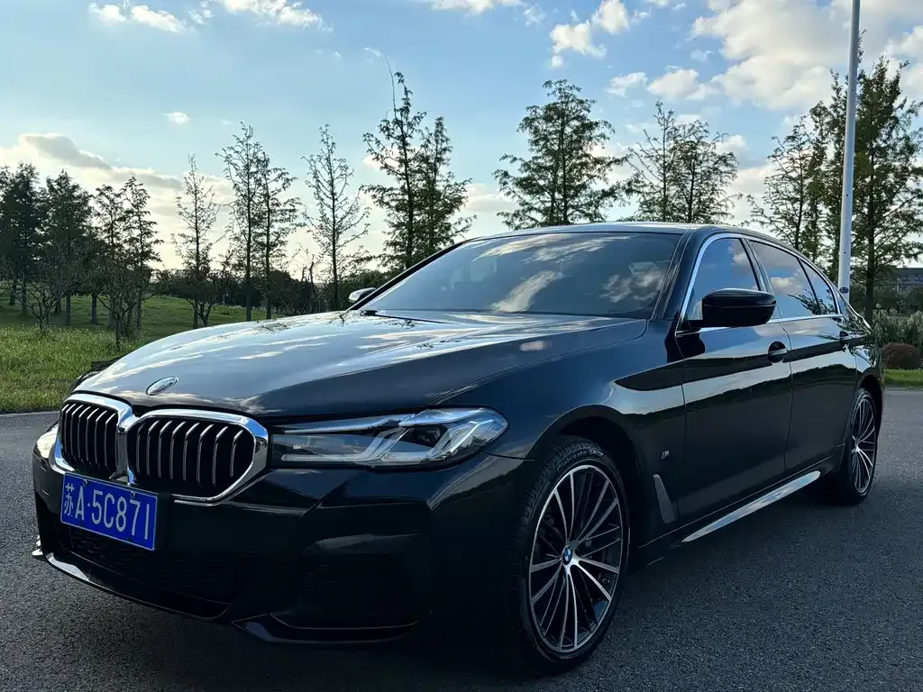 BMW 5 Series 2022 из CN, фото 2